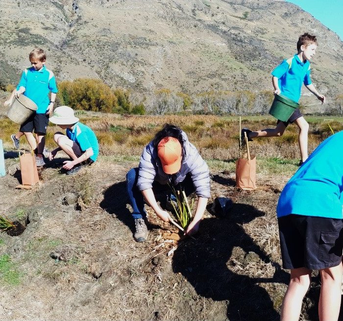 shotover-wetlands-restoration