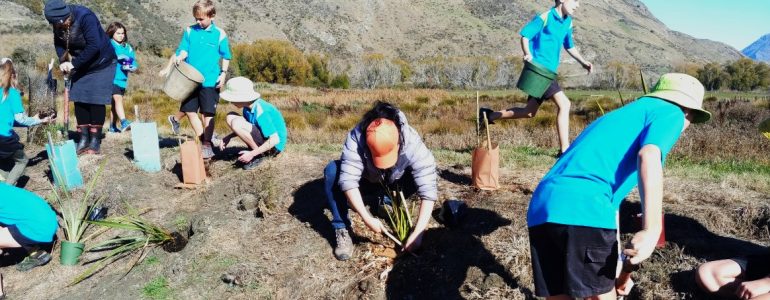 shotover-wetlands-restoration