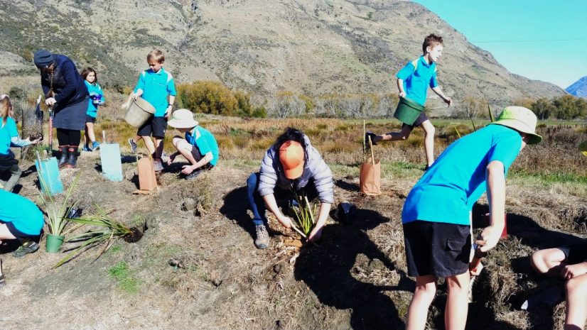 shotover-wetlands-restoration