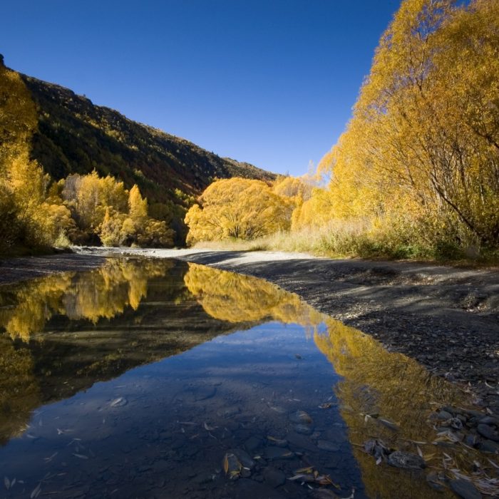 our-sustainability-story